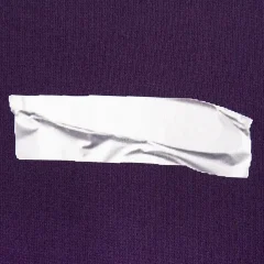 purple-sweatshirt-with-heat-transfer-logo-SFZ-210518-1