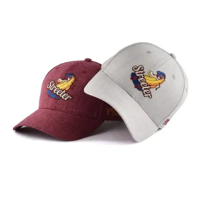 structured redskins baseball cap and grey baseball cap KN2012162