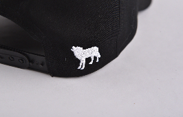 the back falt embroidery logo on the all black baseball cap