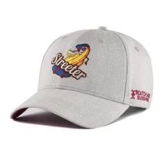 the-left-side-of-the-grey-baseball-cap-KN2012162
