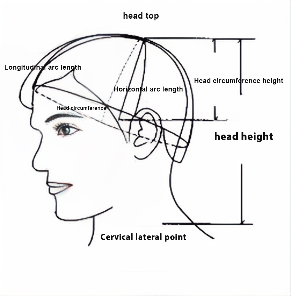 Schematic diagram of head structure