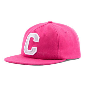 letter snapback caps S2404-032 (2)